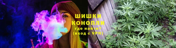 ГАЛЛЮЦИНОГЕННЫЕ ГРИБЫ Михайлов