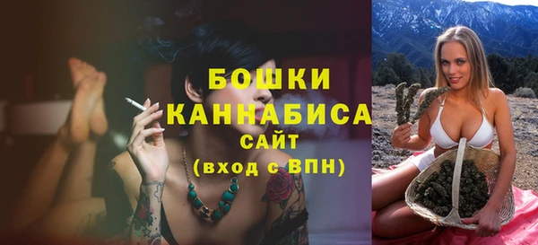 ГАЛЛЮЦИНОГЕННЫЕ ГРИБЫ Михайлов