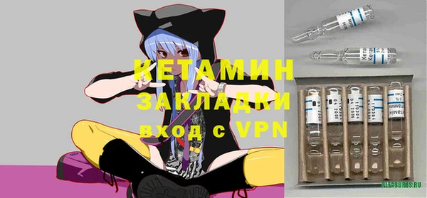ГАЛЛЮЦИНОГЕННЫЕ ГРИБЫ Михайлов