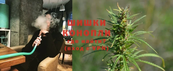прущие грибы Михайловка