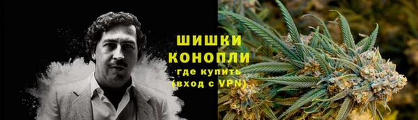 ГАЛЛЮЦИНОГЕННЫЕ ГРИБЫ Михайлов