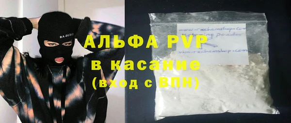 прущие грибы Михайловка