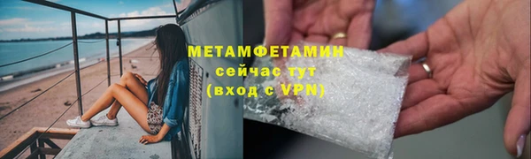 ГАЛЛЮЦИНОГЕННЫЕ ГРИБЫ Михайлов