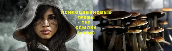 сатива Надым