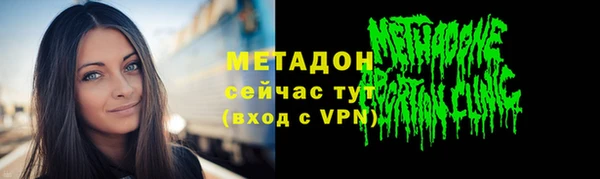 прущие грибы Михайловка