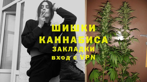 прущие грибы Михайловка