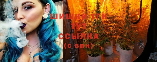 гидра Михайловск