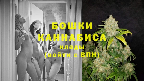 прущие грибы Михайловка