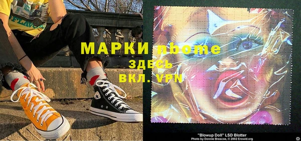 apvp Болотное