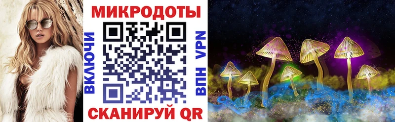 Галлюциногенные грибы прущие грибы  ссылка на мегу зеркало  Питкяранта 