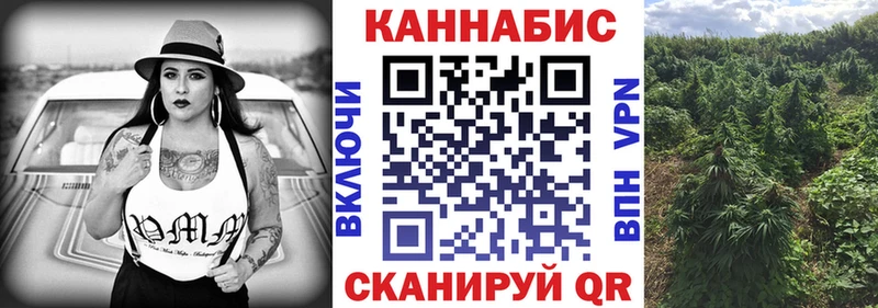 где можно купить   Питкяранта  Канабис гибрид 